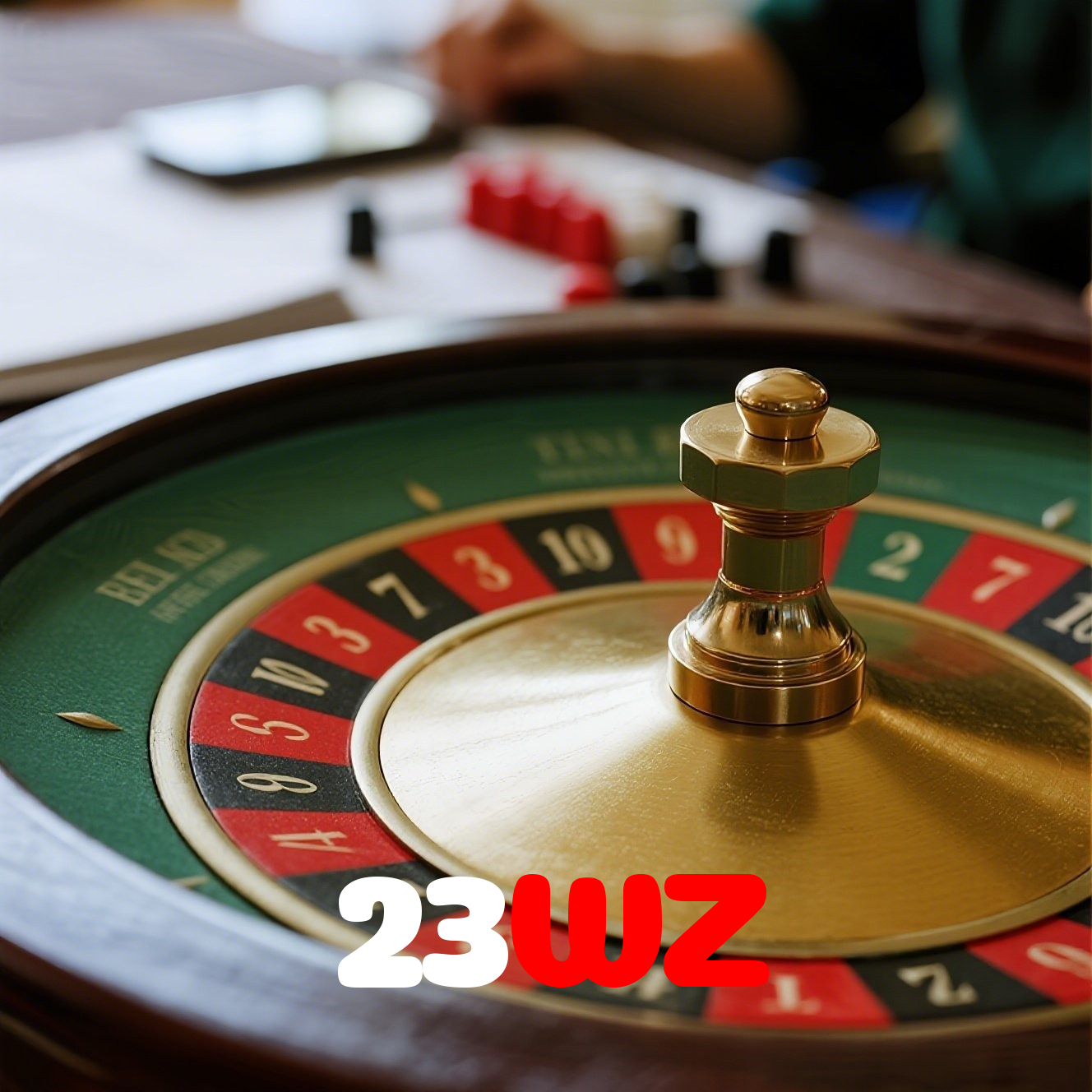 23WZ visual