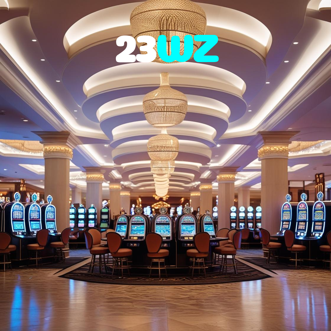 23WZ visual